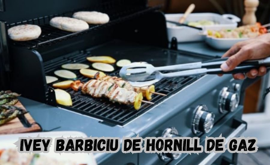 ivey barbiciu de hornill de gaz