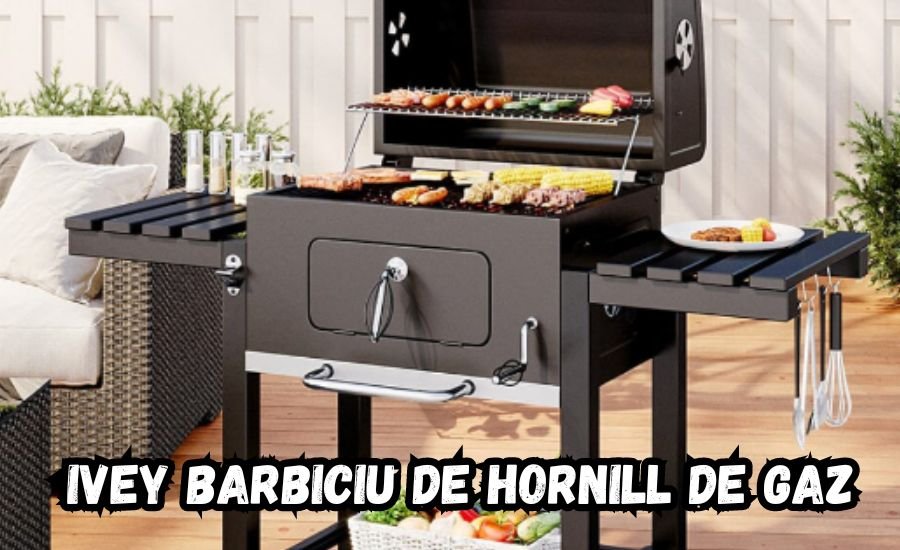 ivey barbiciu de hornill de gaz