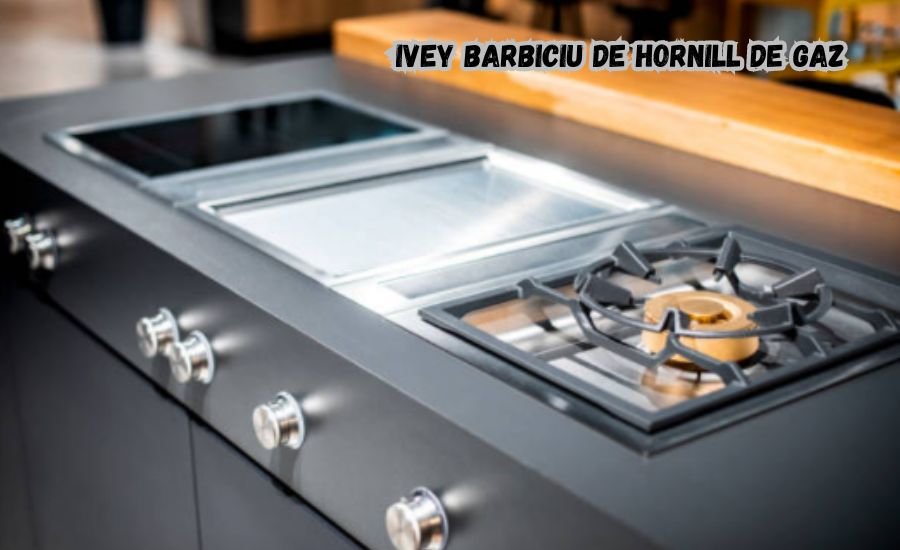 ivey barbiciu de hornill de gaz