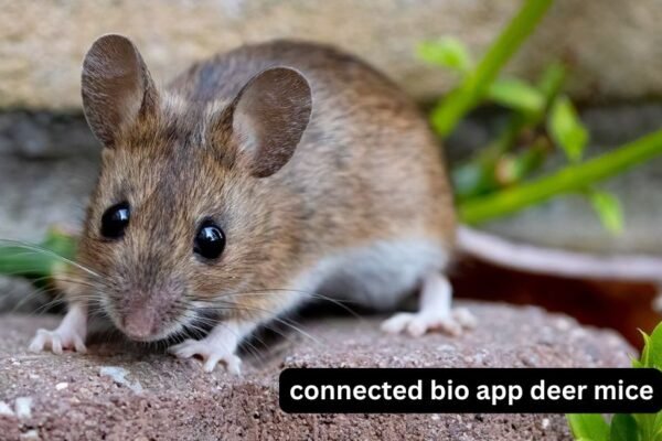 connected bio app deer mice